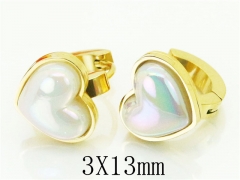HY Wholesale 316L Stainless Steel Popular Jewelry Earrings-HY32E0167NLW
