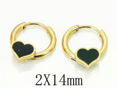 HY Wholesale 316L Stainless Steel Popular Jewelry Earrings-HY60E0655JJG