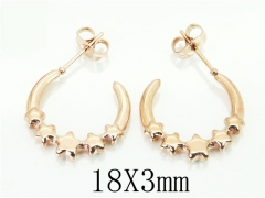 HY Wholesale 316L Stainless Steel Popular Jewelry Earrings-HY70E0451LR