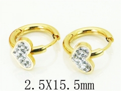 HY Wholesale 316L Stainless Steel Popular Jewelry Earrings-HY60E0679JLV