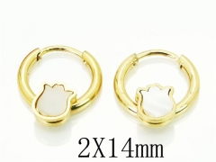 HY Wholesale 316L Stainless Steel Popular Jewelry Earrings-HY60E0662JJT