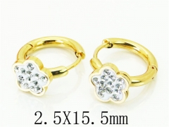 HY Wholesale 316L Stainless Steel Popular Jewelry Earrings-HY60E0681JLF
