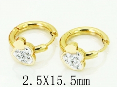 HY Wholesale 316L Stainless Steel Popular Jewelry Earrings-HY60E0674JLD