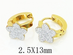 HY Wholesale 316L Stainless Steel Popular Jewelry Earrings-HY60E0694JB