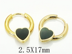 HY Wholesale 316L Stainless Steel Popular Jewelry Earrings-HY60E0670JJE