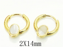HY Wholesale 316L Stainless Steel Popular Jewelry Earrings-HY60E0666JJW