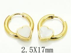 HY Wholesale 316L Stainless Steel Popular Jewelry Earrings-HY60E0671JJT