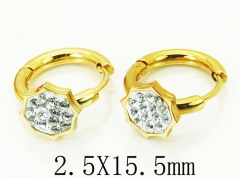 HY Wholesale 316L Stainless Steel Popular Jewelry Earrings-HY60E0676JLZ