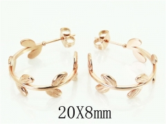 HY Wholesale 316L Stainless Steel Popular Jewelry Earrings-HY70E0461LA