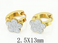 HY Wholesale 316L Stainless Steel Popular Jewelry Earrings-HY60E0691JX