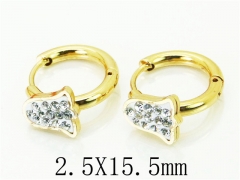 HY Wholesale 316L Stainless Steel Popular Jewelry Earrings-HY60E0684JLE