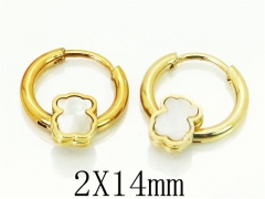 HY Wholesale 316L Stainless Steel Popular Jewelry Earrings-HY60E0660JJU