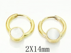 HY Wholesale 316L Stainless Steel Popular Jewelry Earrings-HY60E0667JJQ