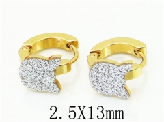 HY Wholesale 316L Stainless Steel Popular Jewelry Earrings-HY60E0696JD