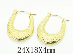 HY Wholesale 316L Stainless Steel Popular Jewelry Earrings-HY70E0430LQ