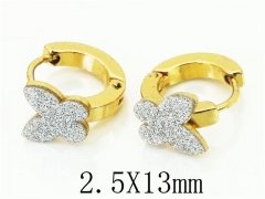 HY Wholesale 316L Stainless Steel Popular Jewelry Earrings-HY60E0687JQ