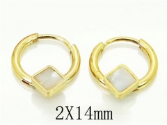 HY Wholesale 316L Stainless Steel Popular Jewelry Earrings-HY60E0668JJW