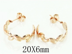 HY Wholesale 316L Stainless Steel Popular Jewelry Earrings-HY70E0456LX