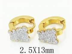 HY Wholesale 316L Stainless Steel Popular Jewelry Earrings-HY60E0697JE