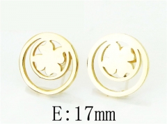 HY Wholesale 316L Stainless Steel Popular Jewelry Earrings-HY12E0181JX