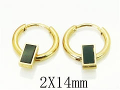 HY Wholesale 316L Stainless Steel Popular Jewelry Earrings-HY60E0657JJD