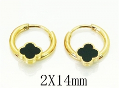 HY Wholesale 316L Stainless Steel Popular Jewelry Earrings-HY60E0654JJC