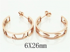 HY Wholesale 316L Stainless Steel Popular Jewelry Earrings-HY32E0163OQ