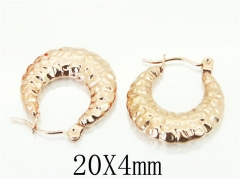 HY Wholesale 316L Stainless Steel Popular Jewelry Earrings-HY70E0436LF