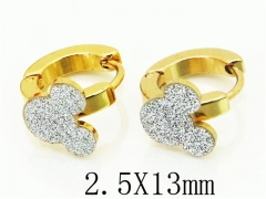 HY Wholesale 316L Stainless Steel Popular Jewelry Earrings-HY60E0689JA