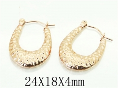 HY Wholesale 316L Stainless Steel Popular Jewelry Earrings-HY70E0431LF