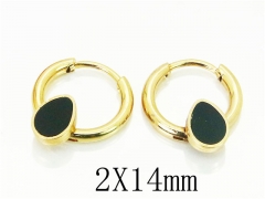 HY Wholesale 316L Stainless Steel Popular Jewelry Earrings-HY60E0656JJF