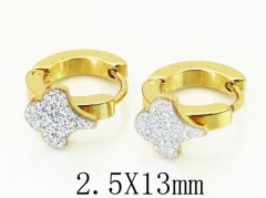 HY Wholesale 316L Stainless Steel Popular Jewelry Earrings-HY60E0695JG