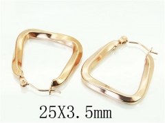HY Wholesale 316L Stainless Steel Popular Jewelry Earrings-HY70E0441LV