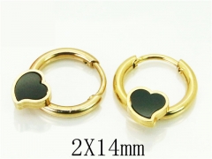 HY Wholesale 316L Stainless Steel Popular Jewelry Earrings-HY60E0648JJQ