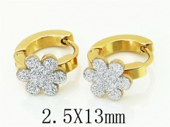 HY Wholesale 316L Stainless Steel Popular Jewelry Earrings-HY60E0698JT
