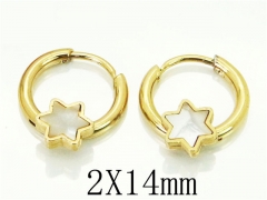 HY Wholesale 316L Stainless Steel Popular Jewelry Earrings-HY60E0663JJR