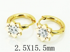 HY Wholesale 316L Stainless Steel Popular Jewelry Earrings-HY60E0680JLG