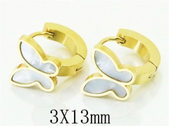 HY Wholesale 316L Stainless Steel Popular Jewelry Earrings-HY32E0170NLG