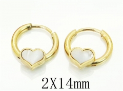 HY Wholesale 316L Stainless Steel Popular Jewelry Earrings-HY60E0665JJE