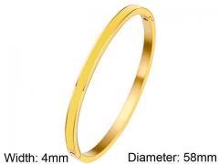 HY Wholesale Stainless Steel 316L Fashion Bangle-HY0076B028