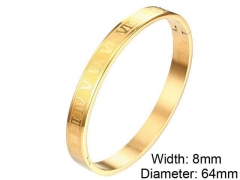 HY Wholesale Stainless Steel 316L Fashion Bangle-HY0076B088