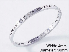HY Wholesale Stainless Steel 316L Fashion Bangle-HY0076B011