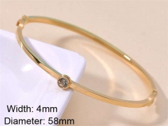 HY Wholesale Stainless Steel 316L Fashion Bangle-HY0076B279