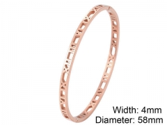 HY Wholesale Stainless Steel 316L Fashion Bangle-HY0076B063