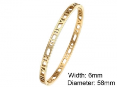 HY Wholesale Stainless Steel 316L Fashion Bangle-HY0076B055