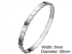 HY Wholesale Stainless Steel 316L Fashion Bangle-HY0076B161