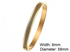 HY Wholesale Stainless Steel 316L Fashion Bangle-HY0076B001