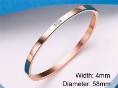 HY Wholesale Stainless Steel 316L Fashion Bangle-HY0076B093