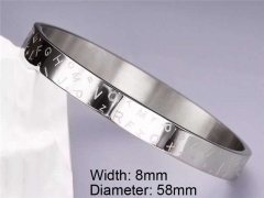 HY Wholesale Stainless Steel 316L Fashion Bangle-HY0076B008