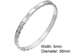 HY Wholesale Stainless Steel 316L Fashion Bangle-HY0076B158